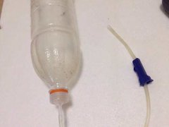 丰年虾的孵化方法
