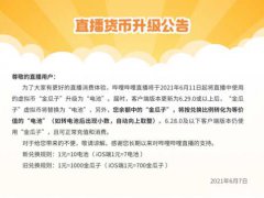 有关粉丝勋章的详细指南（2021-6月版）