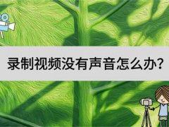 录制视频没有声音怎么办？学会这个方法,再也不用烦恼