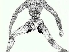 一拳超人-(全部高等级怪人列表,包括神级到龙级)