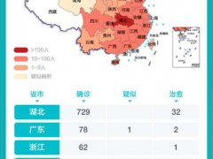 实时更新 肺炎疫情地图