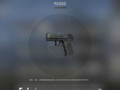 关于CSGO的枪械选择