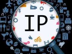 ip代理工具换ip可提高工作效率