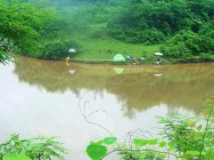 下雨天可以钓鱼吗？一年四季各有不同,选对时机才能鲜鱼满篓