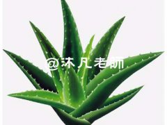 怎么有效去痘印痘坑