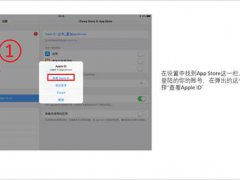 (音游)iOS如何将AppleID改至日本区（图文）