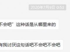 不会吧不会吧 ,2020年最恶心人的网络句式