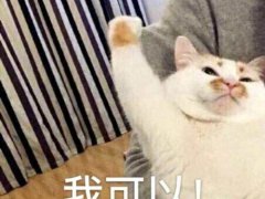 为什么要努力