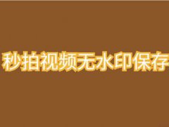 秒拍去水印软件下载-秒拍视频去水印
