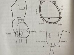 女裤原型打版原理及样衣展示