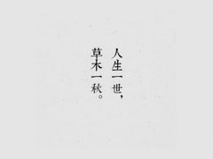唯梦闲人不梦君