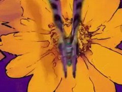 女团最爱？火爆ins 蝴蝶元素,我吹爆