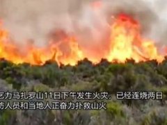 非洲最高峰发生大火 山峰为什么会着火 怎么预防森林火灾