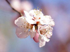 春分养生小知识 春分养生要点