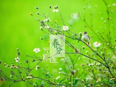春分是几点几分几秒 春分时间