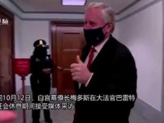 白宫幕僚长想摘口罩被记者拒绝 白宫的幕僚长什么级别