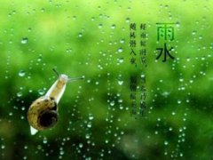 雨水节气可以种菜了吗 雨水节气可以种什么菜