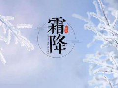 今年霜降是几月几号 霜降是几月几日日几点 霜降具体时间