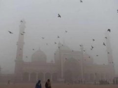 印度空气恶化或致新冠疫情变遭 印度空气污染原因