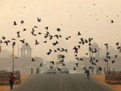 印度空气恶化或致新冠疫情变遭 印度疫情现状太恐怖