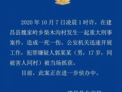 辽宁17岁少年行凶致一死一伤 17岁少年行凶杀死同村村民