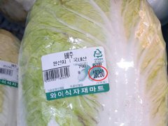 韩国大白菜涨价至62元一棵 韩国大白菜为什么贵