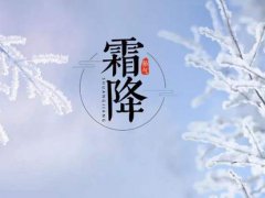 霜降是几月几号几点 霜降节气是哪一天 霜降是啥时候