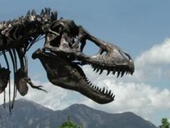全球最大霸王龙化石拍出天价 霸王龙化石在哪里发现的