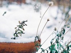 小雪节气出生的男孩 小雪节气出生的起名 小雪节气出生的男孩小名