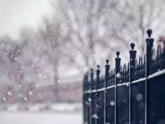 小雪节气的由来和风俗 小雪节气有哪些风俗 小雪节气有什么说法