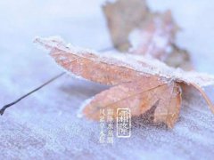 霜降节气有什么特点 霜降节气有三候