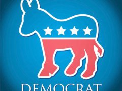 美国民主党得到众议院多数席位 拜登是什么党派