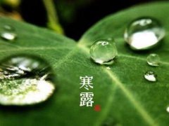 寒露节气的含义是什么 寒露节气的特殊寓意是什么