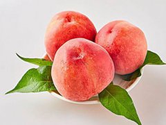 桃子有多少品种 桃子有哪些种类