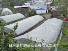 尿毒症男子包下60亩地自救 尿毒症男子包地自救