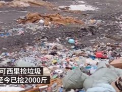 小伙回应网贷去可可西里捡垃圾 相伴的狗狗丧命可可西里