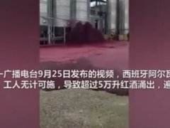 西班牙小镇5万升红酒桶破裂 道路已被红酒染成“血”海