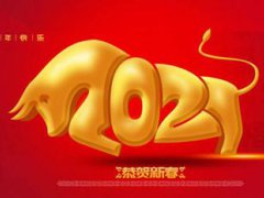 是什么生肖属什么的 是什么年什么命什么属性 为什么说是金牛年吗