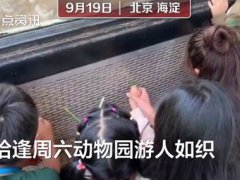 动物园喂狼吃草游客被列入黑名单 列入旅游黑名单的后果