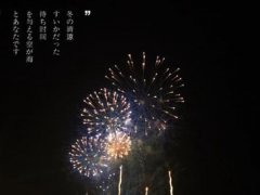 烟花爆竹禁放令 烟花爆竹安全管理条例 烟花爆竹燃放规定吗