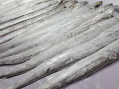 从印尼进口的冻带鱼外包装阳性 印尼进口冻带鱼阳性