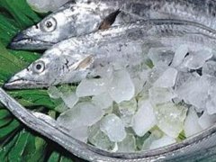 印尼进口冻带鱼外包装核酸阳性 印尼进口带鱼品牌有哪些