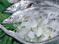 从印尼进口的冻带鱼外包装阳性 印尼冻带鱼阳性