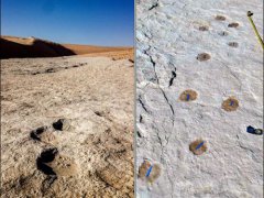 沙特发现距今12万年前的人类脚印