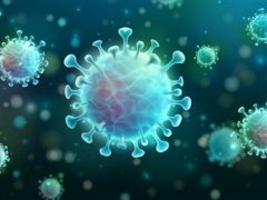 新冠病毒中和抗体能维持半年以上 新冠病毒中和抗体10月能用上