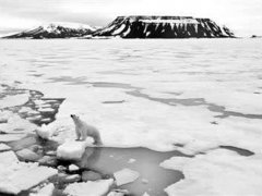 北极正在形成新的气候系统 北极气温飙升海冰不断减少