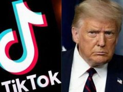 特朗普称对TikTok解决方案不高兴 特朗普称不喜欢字节跳动保留TikTok控制权