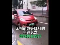 私家车逆行插队被警车迎面逼退 私家车撞警车怎么处理