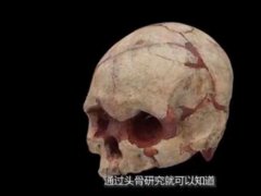 16000年前的人头骨化石 中国最早的头骨化石