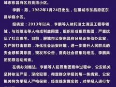 村支书雇凶撞死举报者获死刑 村支书雇凶撞死举报者事件详情始末曝光